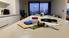 Cada cuánto desparasitar a tu perro en Chile: ¿3 o 6 meses o según riesgo?