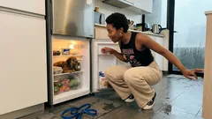 Por qué tu perro busca meterse al refrigerador en una ola de calor y cómo evitarlo